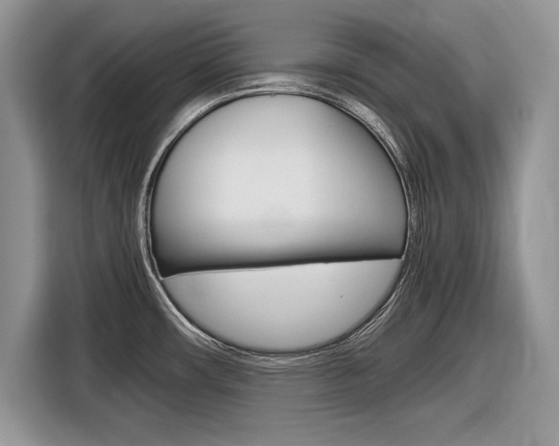 X0000116841482200912181104