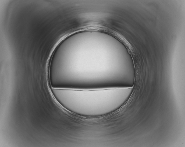 X0000116841483200912181104