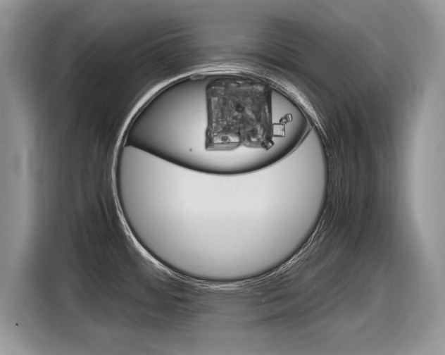 X0000116841484200912181104