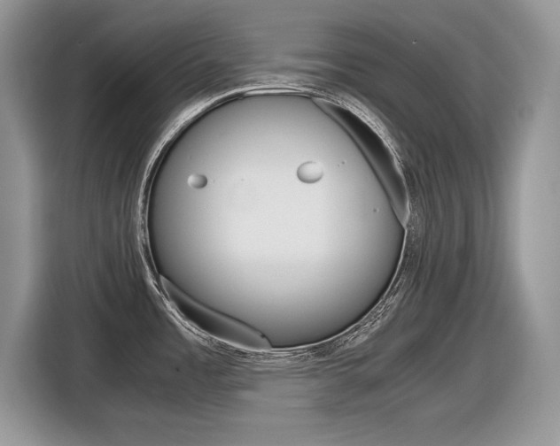 X0000116841485200912181104
