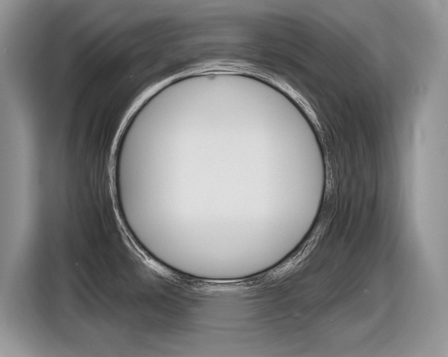 X0000116841486200912181104