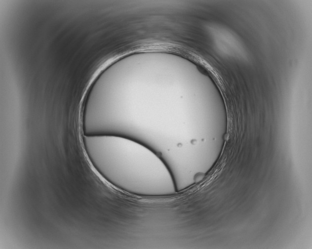 X0000116841487200912181104