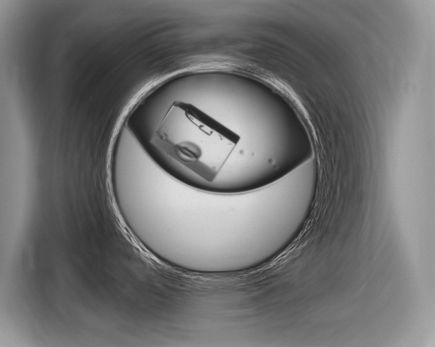 X0000116841488200912181104