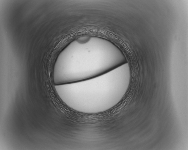 X0000116841489200912181104