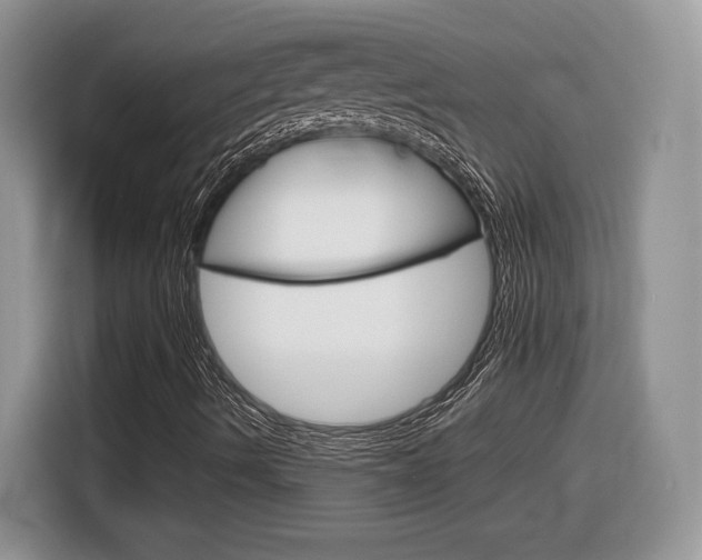 X0000116841490200912181104