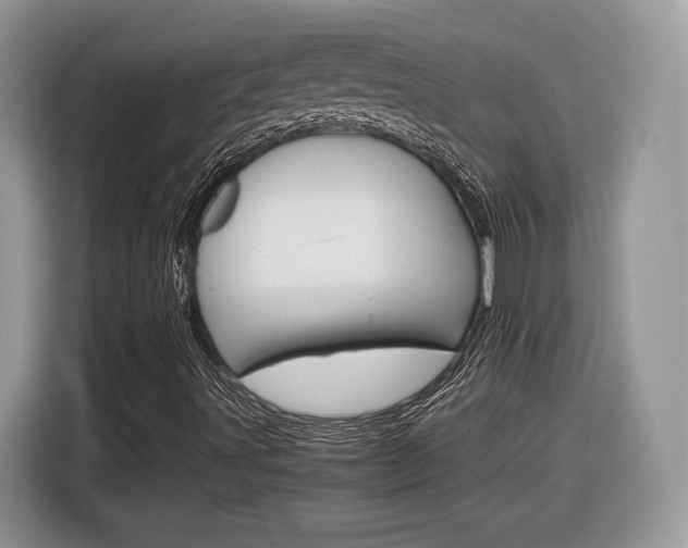 X0000116841491200912181104