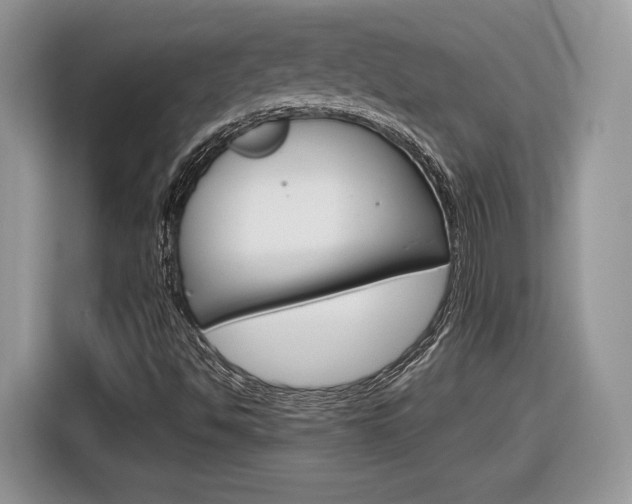 X0000116841494200912181104