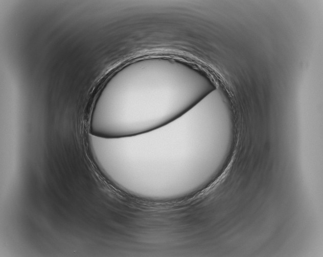 X0000116841497200912181104
