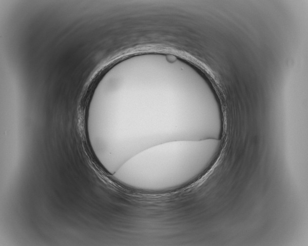 X0000116841498200912181104