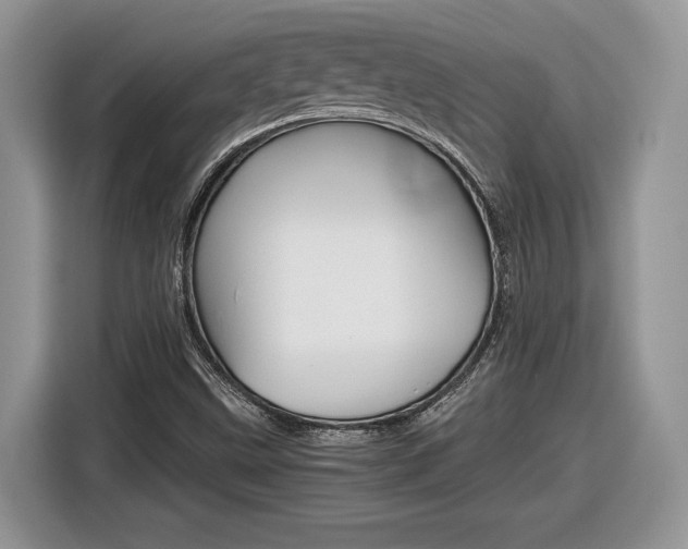 X0000116841499200912181104