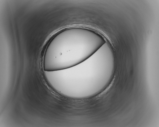 X0000116841501200912181104