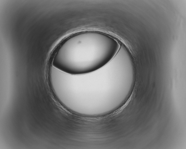 X0000116841502200912181104