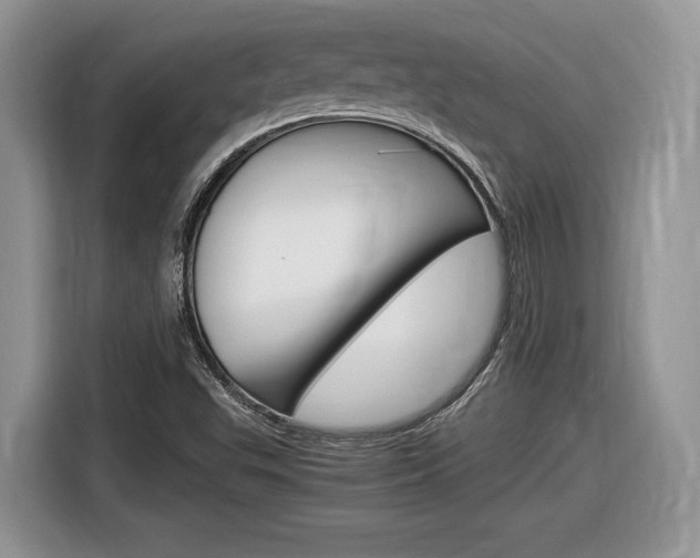 X0000116841503200912181104