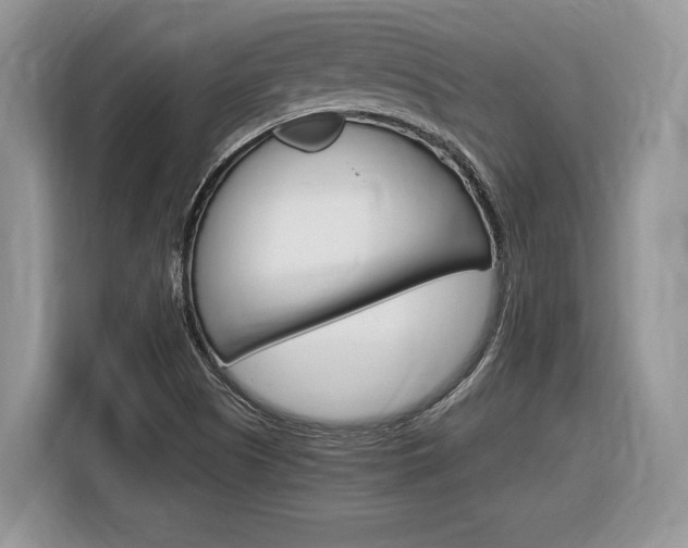 X0000116841505200912181104