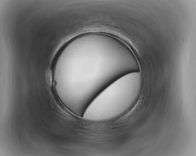 X0000116841509200912181104