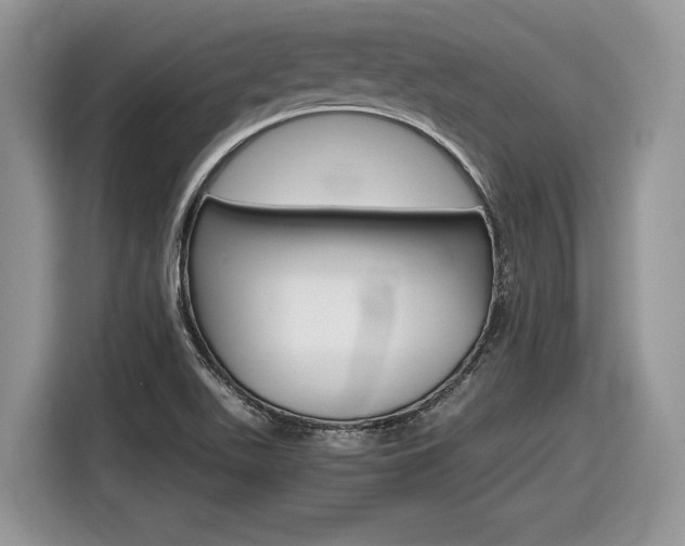 X0000116841511200912181104