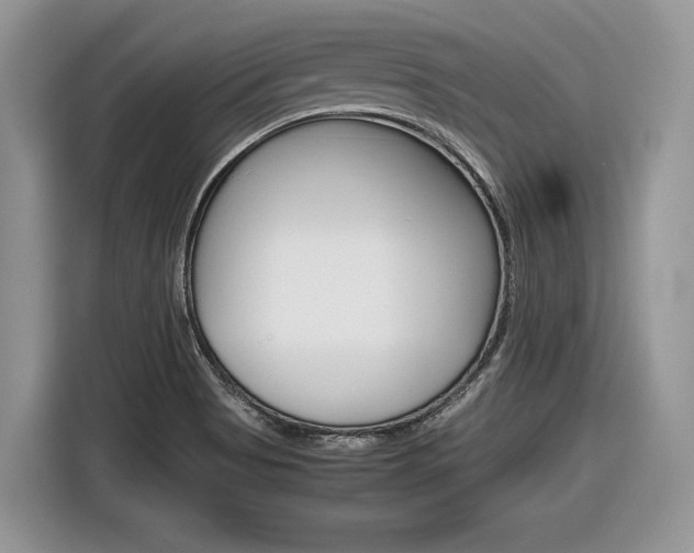 X0000116841513200912181104