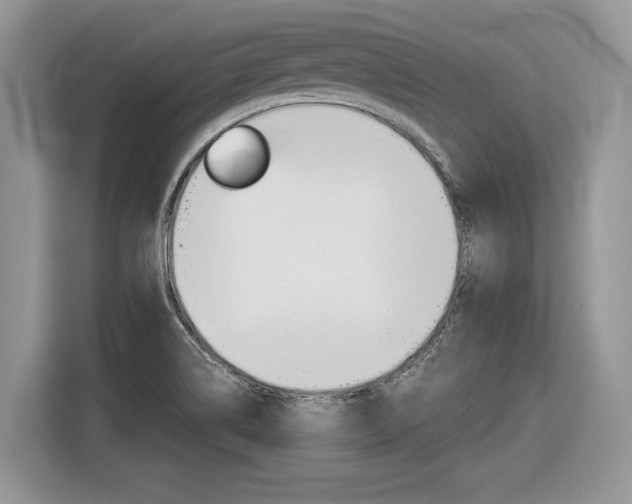 X0000116841514200912181104
