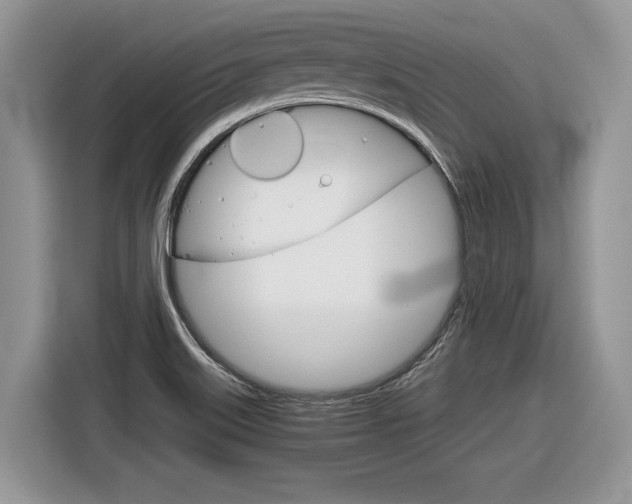 X0000116841515200912181104