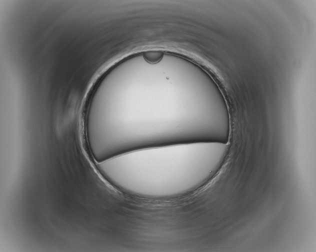 X0000116841517200912181104