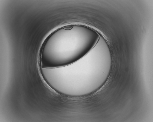 X0000116841518200912181104