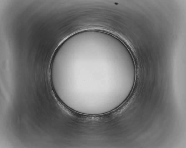 X0000116841521200912181104
