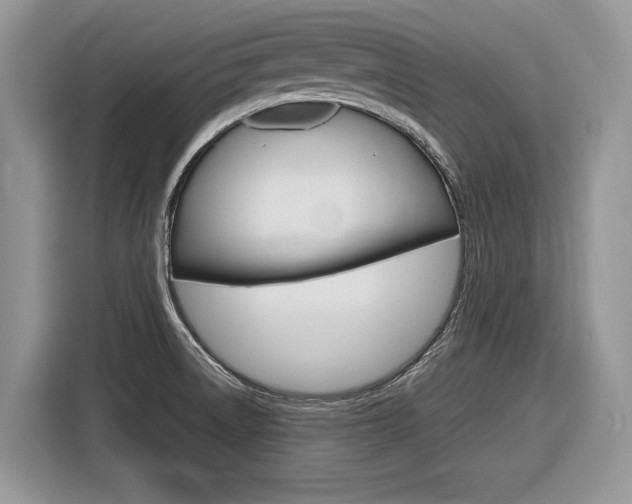 X0000116841522200912181104