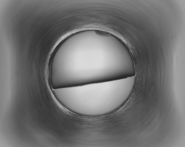 X0000116841523200912181104