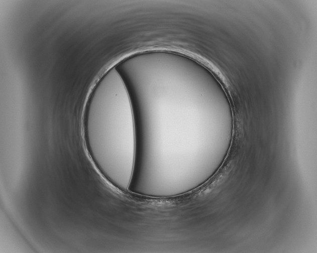 X0000116841525200912181104