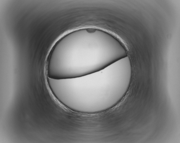 X0000116841526200912181104