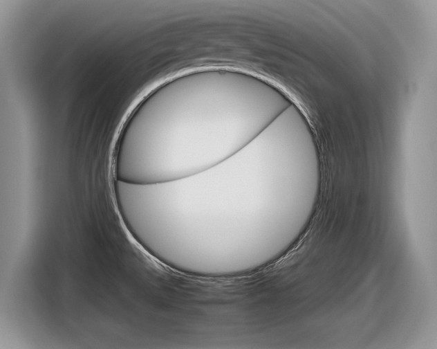 X0000116841527200912181104