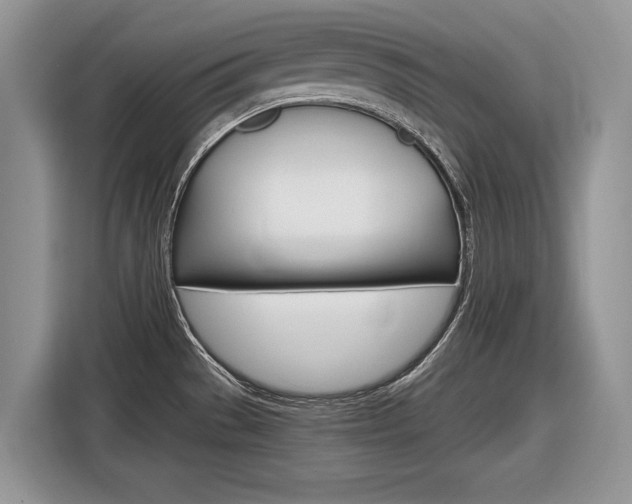 X0000116841529200912181104