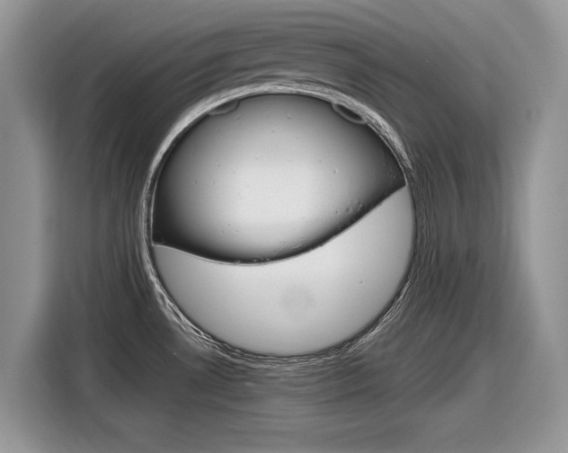 X0000116841530200912181104