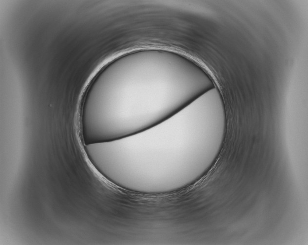 X0000116841531200912181104