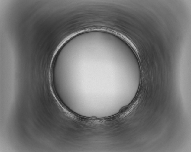 X0000116841533200912181104