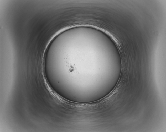 X0000116841534200912181104