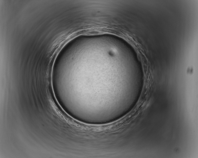 X0000116840002200912181508