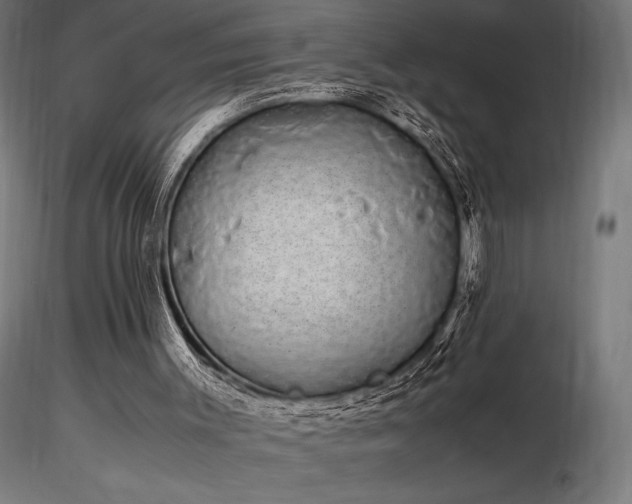 X0000116840003200912181508