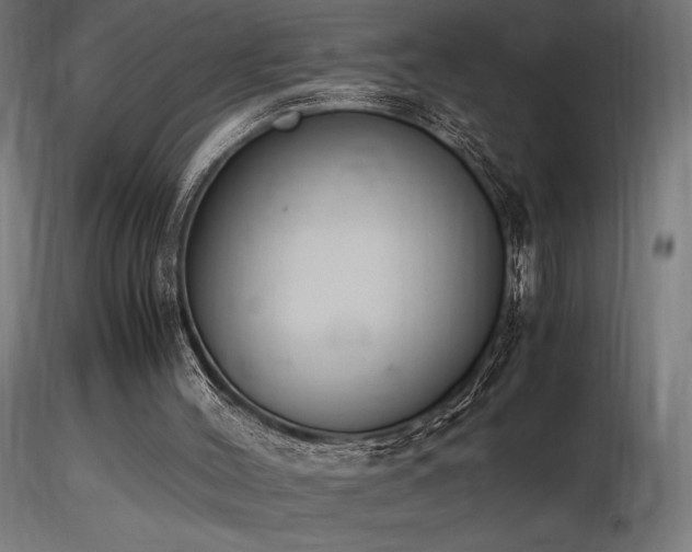 X0000116840004200912181508