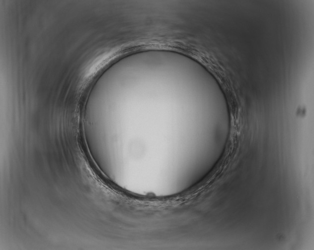 X0000116840005200912181508