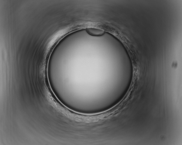 X0000116840006200912181508