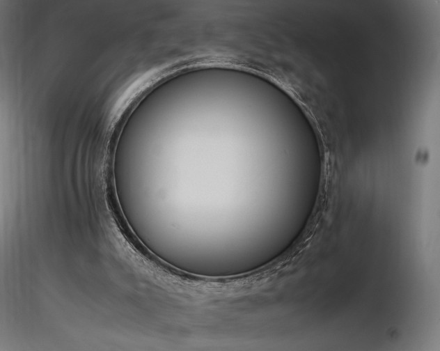 X0000116840007200912181508
