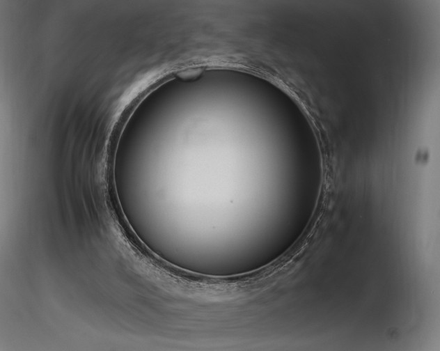 X0000116840008200912181508