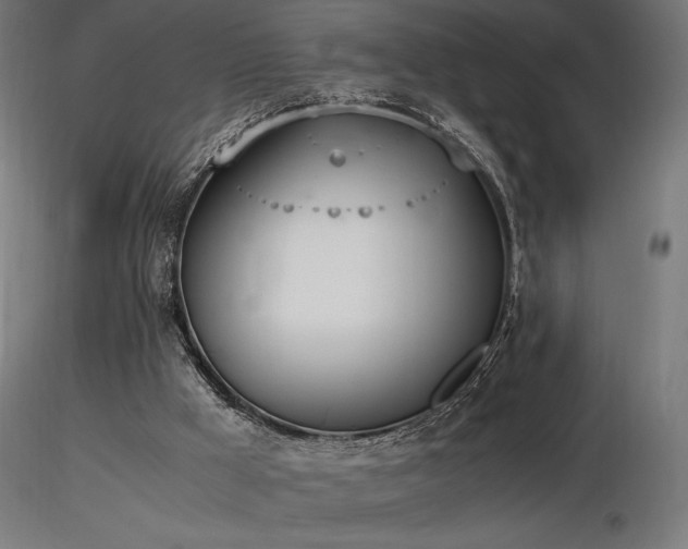 X0000116840009200912181508