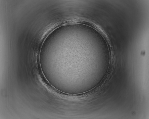 X0000116840010200912181508