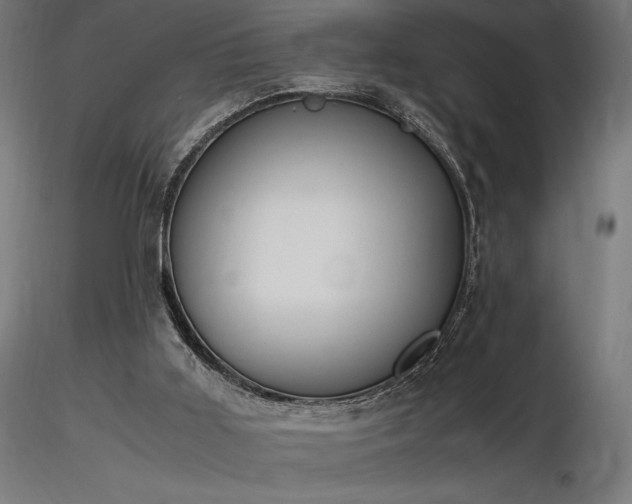 X0000116840011200912181508