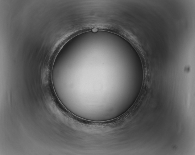 X0000116840012200912181508