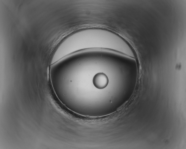 X0000116840013200912181508