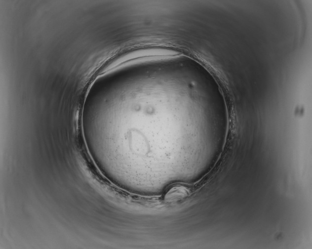 X0000116840014200912181508