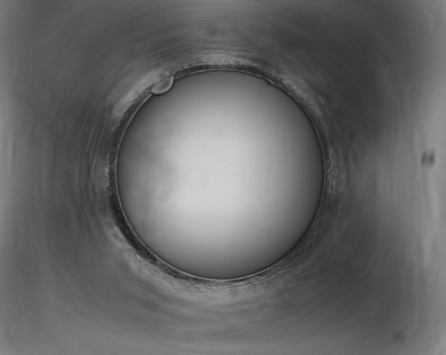 X0000116840015200912181508